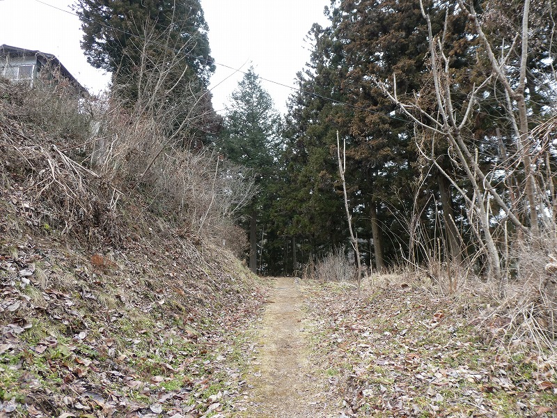 f:id:noririn3103:20190317142409j:plain