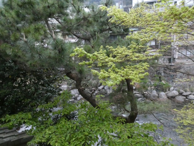 f:id:noririn3103:20190401205558j:plain