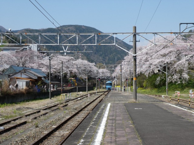 f:id:noririn3103:20190406205711j:plain