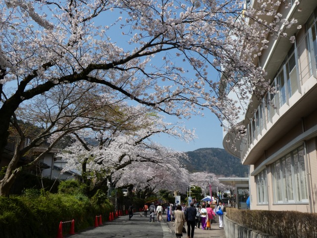 f:id:noririn3103:20190406210045j:plain