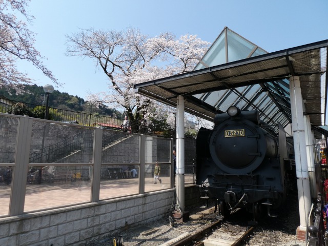 f:id:noririn3103:20190406210430j:plain