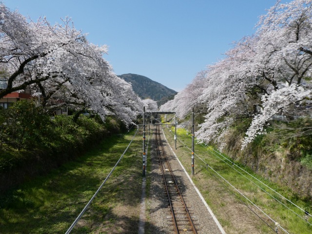 f:id:noririn3103:20190406211408j:plain