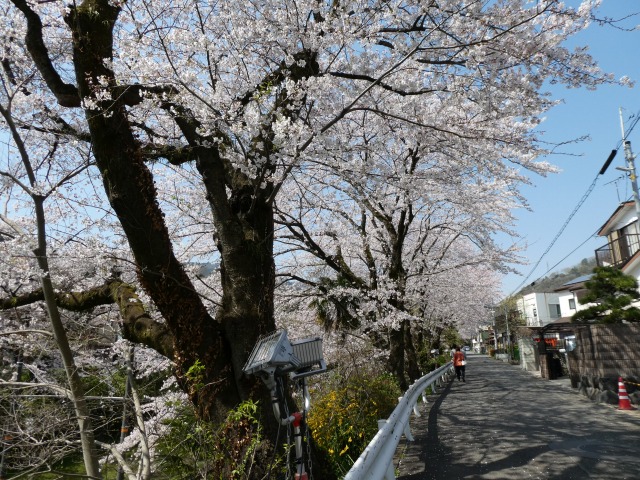 f:id:noririn3103:20190406211527j:plain