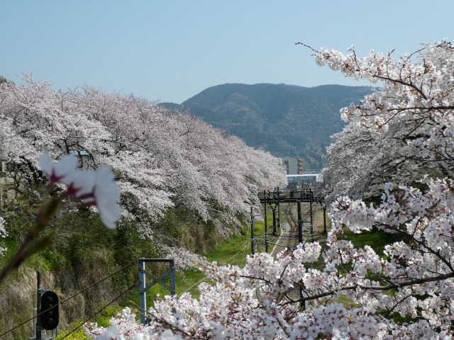 f:id:noririn3103:20190406212125j:plain