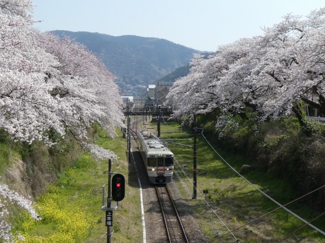f:id:noririn3103:20190406212646j:plain