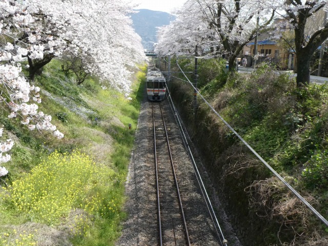 f:id:noririn3103:20190406213313j:plain