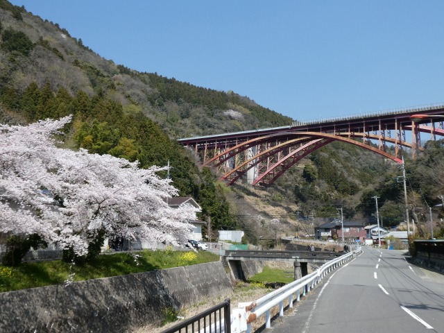 f:id:noririn3103:20190406214106j:plain