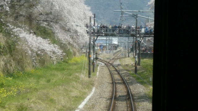 f:id:noririn3103:20190406220558j:plain