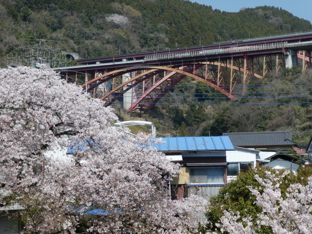 f:id:noririn3103:20190407193253j:plain