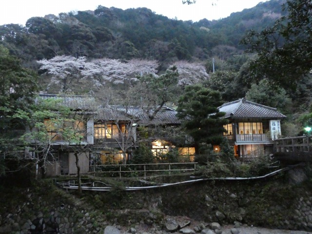 f:id:noririn3103:20190407201116j:plain