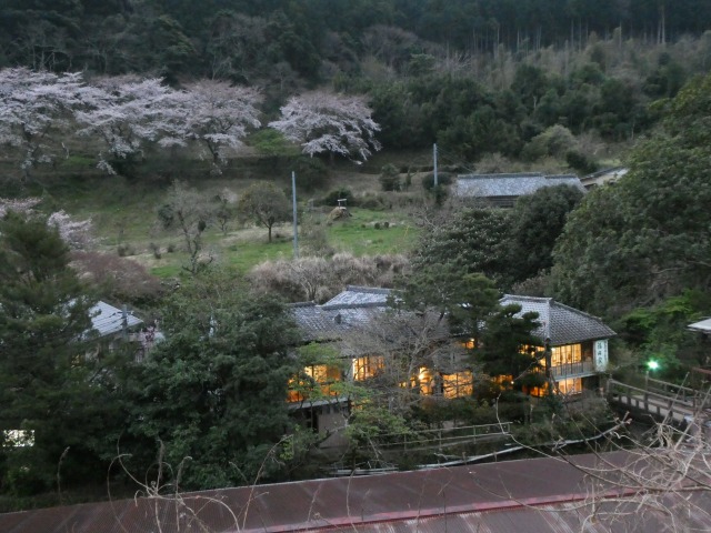 f:id:noririn3103:20190408210829j:plain