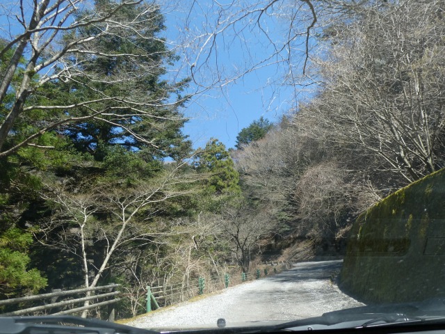 f:id:noririn3103:20190410230211j:plain