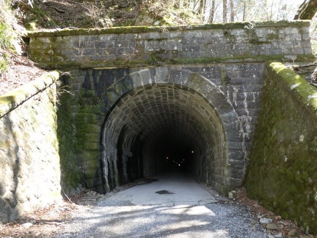 f:id:noririn3103:20190412205542j:plain