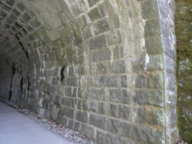 f:id:noririn3103:20190412205802j:plain