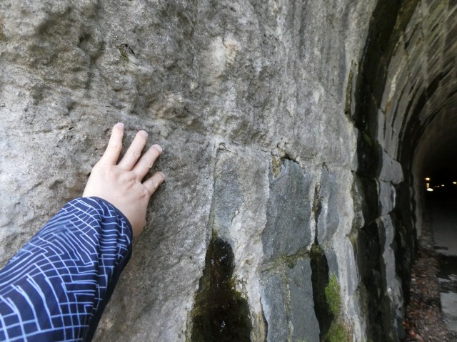 f:id:noririn3103:20190412205831j:plain