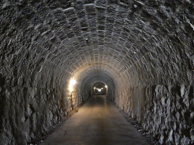 f:id:noririn3103:20190412205957j:plain