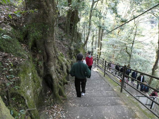 f:id:noririn3103:20190414141606j:plain