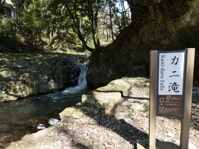 f:id:noririn3103:20190414145636j:plain