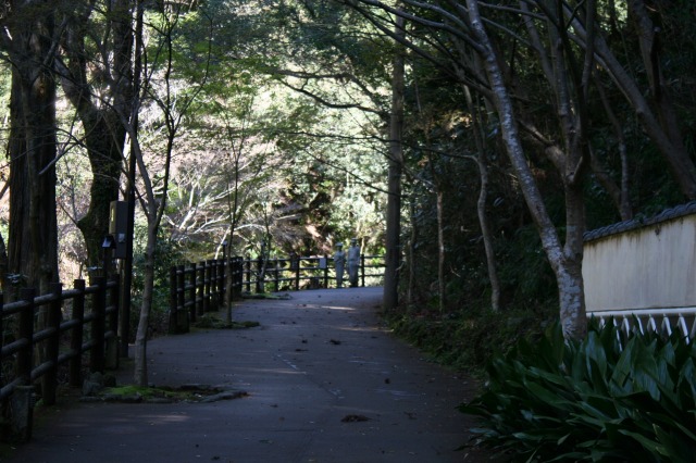 f:id:noririn3103:20190414150057j:plain