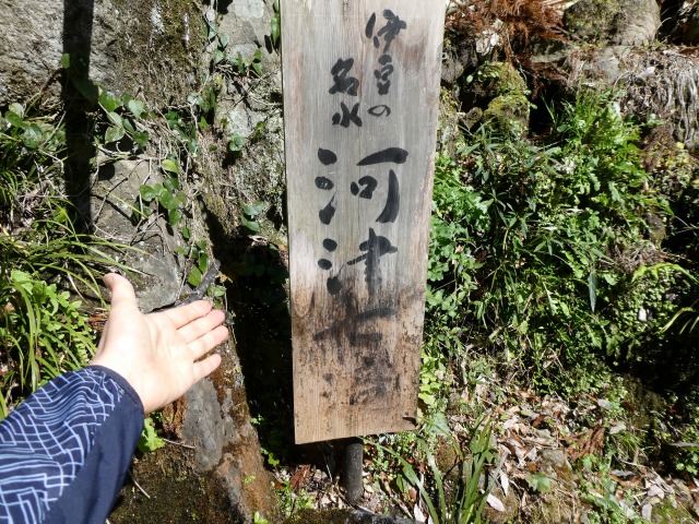 f:id:noririn3103:20190414151620j:plain