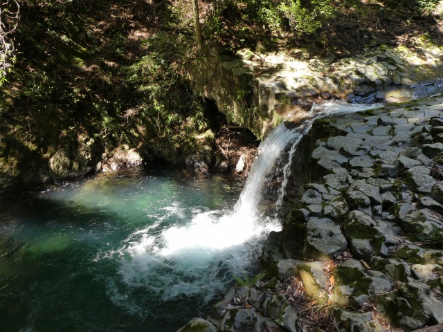 f:id:noririn3103:20190414153319j:plain