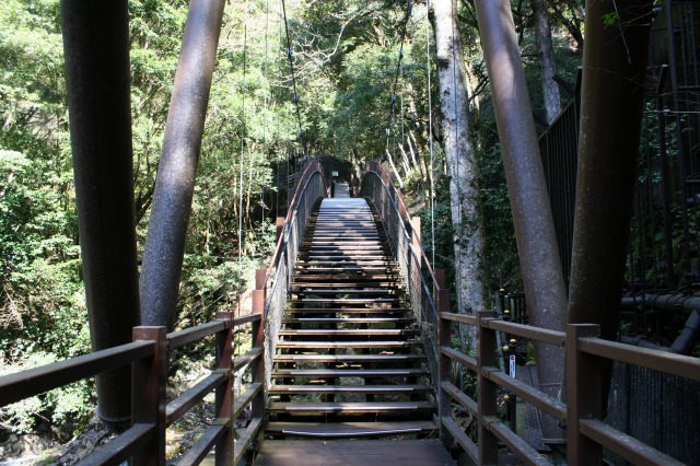 f:id:noririn3103:20190414153541j:plain