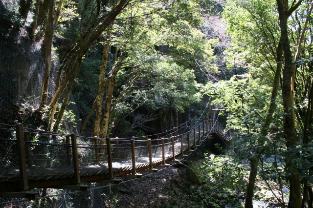 f:id:noririn3103:20190414153903j:plain