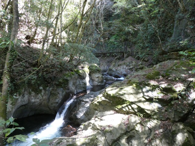 f:id:noririn3103:20190414154223j:plain