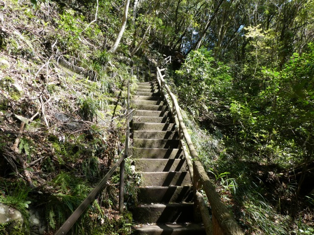 f:id:noririn3103:20190414154610j:plain