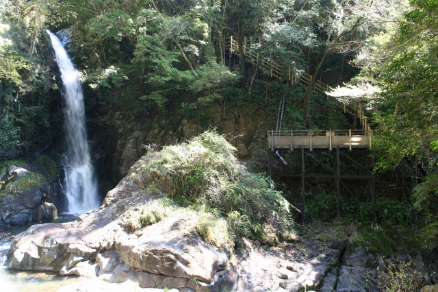 f:id:noririn3103:20190414154744j:plain