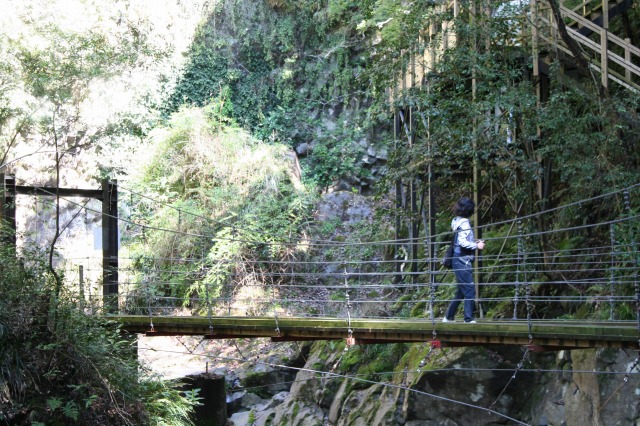 f:id:noririn3103:20190414155127j:plain