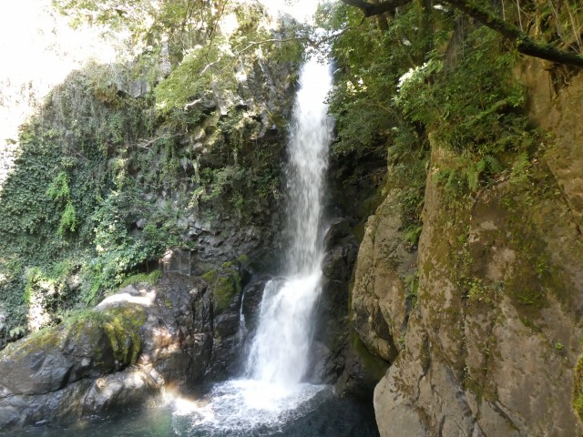 f:id:noririn3103:20190414174553j:plain