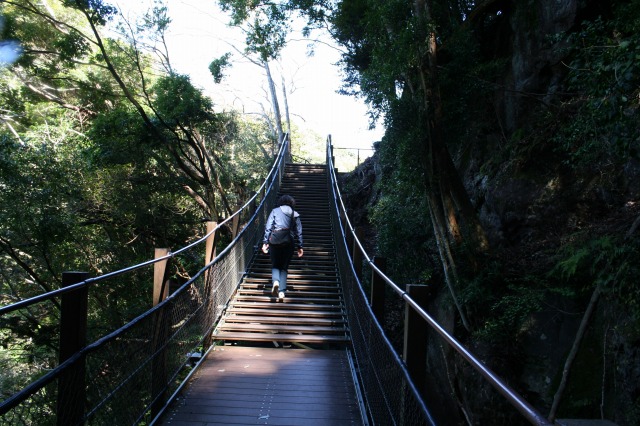 f:id:noririn3103:20190414174926j:plain