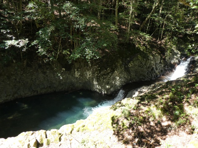 f:id:noririn3103:20190414175243j:plain