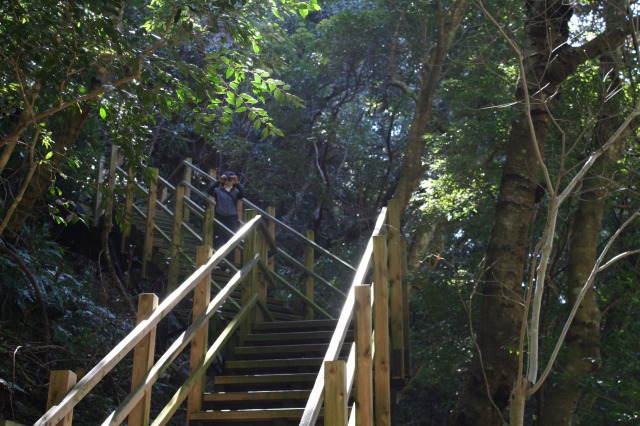 f:id:noririn3103:20190414175520j:plain