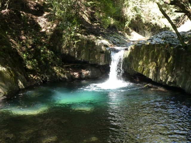 f:id:noririn3103:20190414191445j:plain