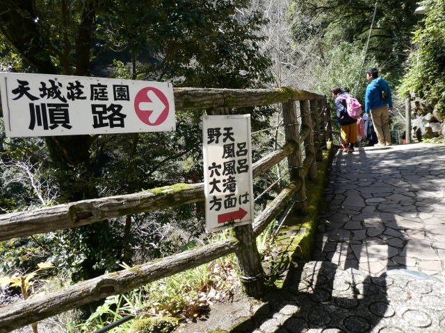 f:id:noririn3103:20190414194844j:plain