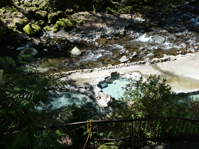 f:id:noririn3103:20190414195736j:plain