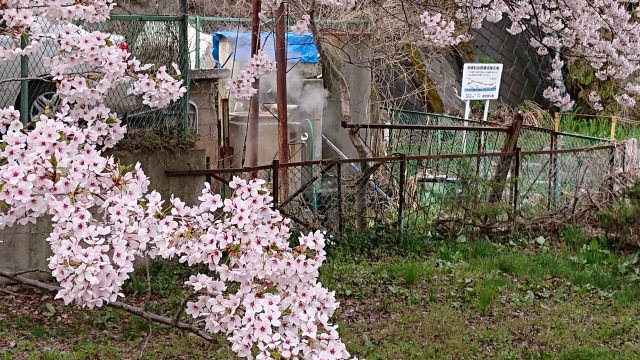f:id:noririn3103:20190429122134j:plain f:id:noririn3103:20190429122134j:plain