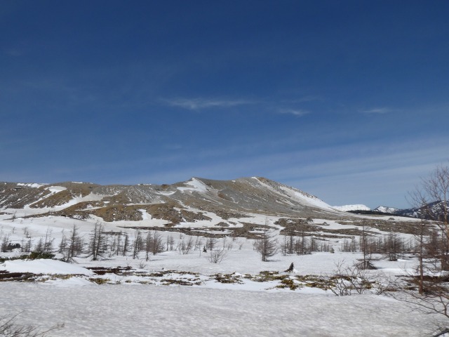 f:id:noririn3103:20190429133846j:plain f:id:noririn3103:20190429133846j:plain
