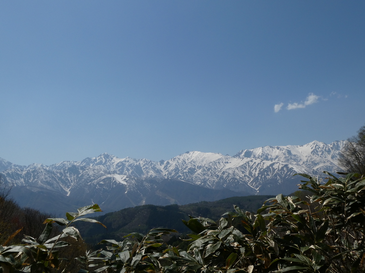 f:id:noririn3103:20190429165243j:plain f:id:noririn3103:20190429165243j:plain