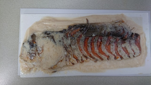 f:id:noririn3103:20190623164041j:plain