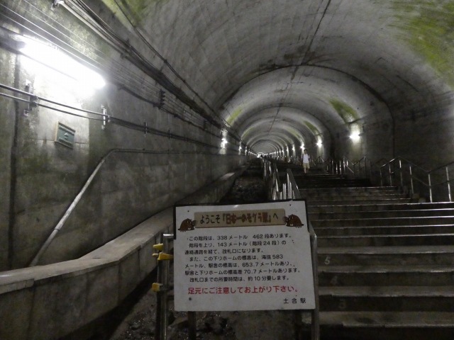 f:id:noririn3103:20190818144451j:plain f:id:noririn3103:20190818144451j:plain