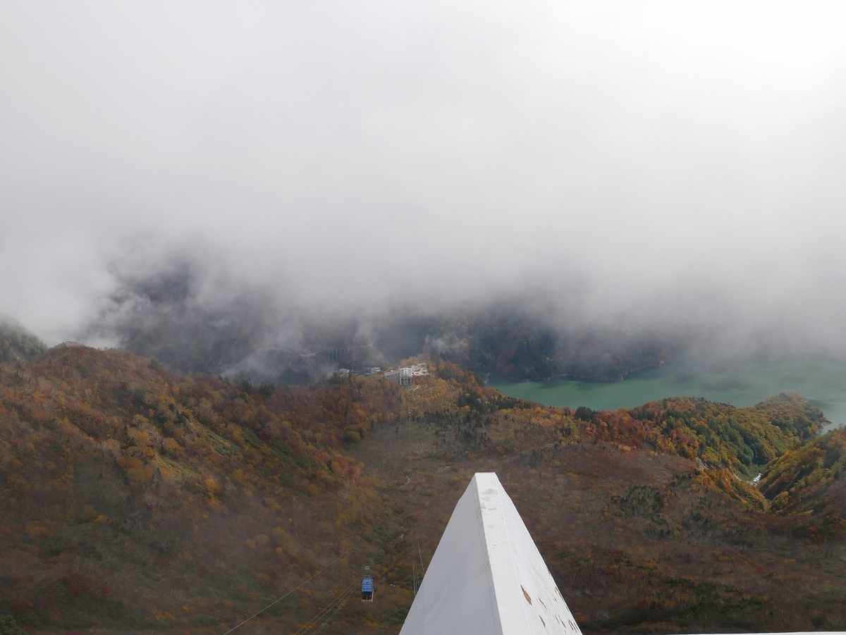 f:id:noririn3103:20191022200802j:plain