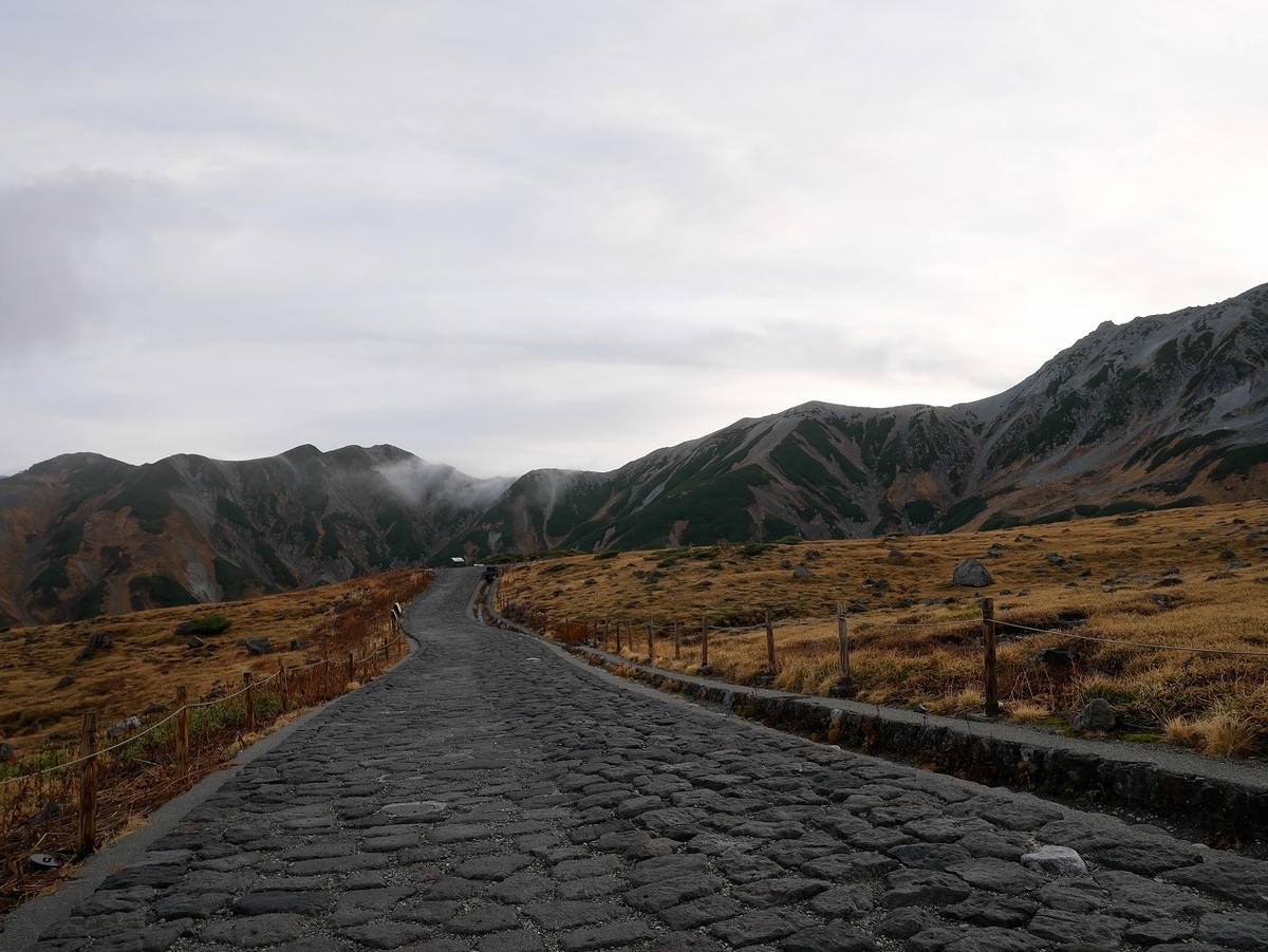 f:id:noririn3103:20191027161626j:plain