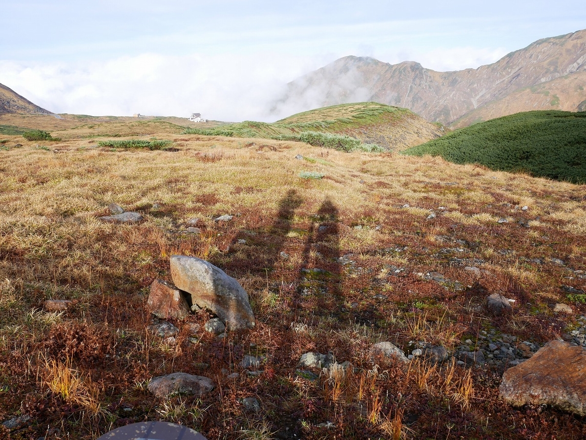 f:id:noririn3103:20191027162315j:plain