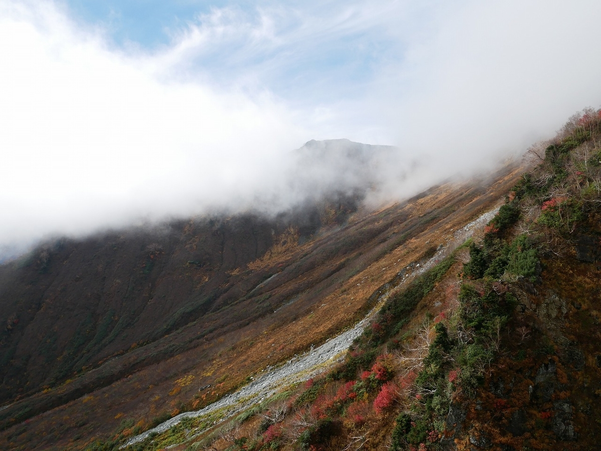 f:id:noririn3103:20191027201034j:plain