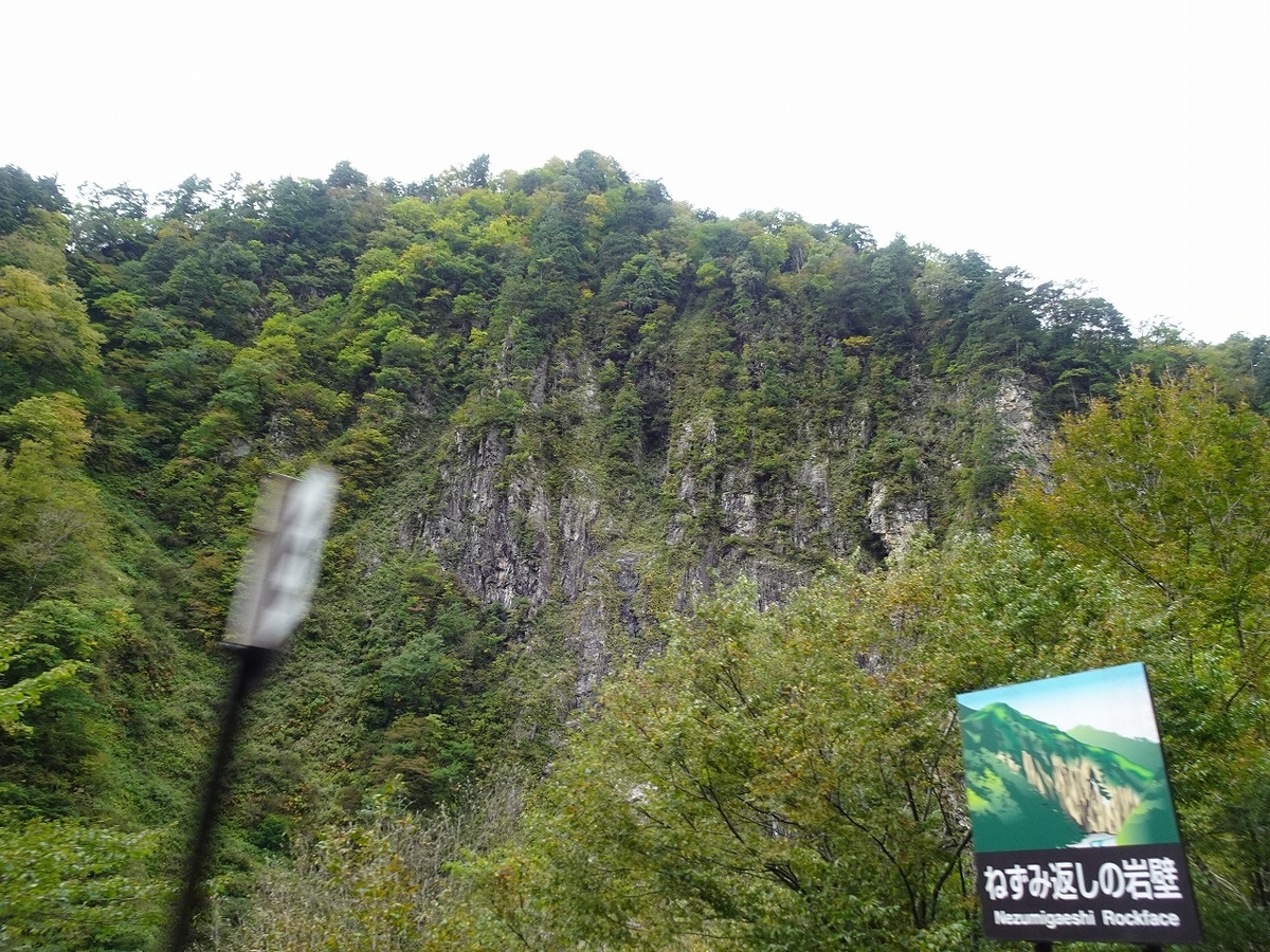 f:id:noririn3103:20191103094230j:plain