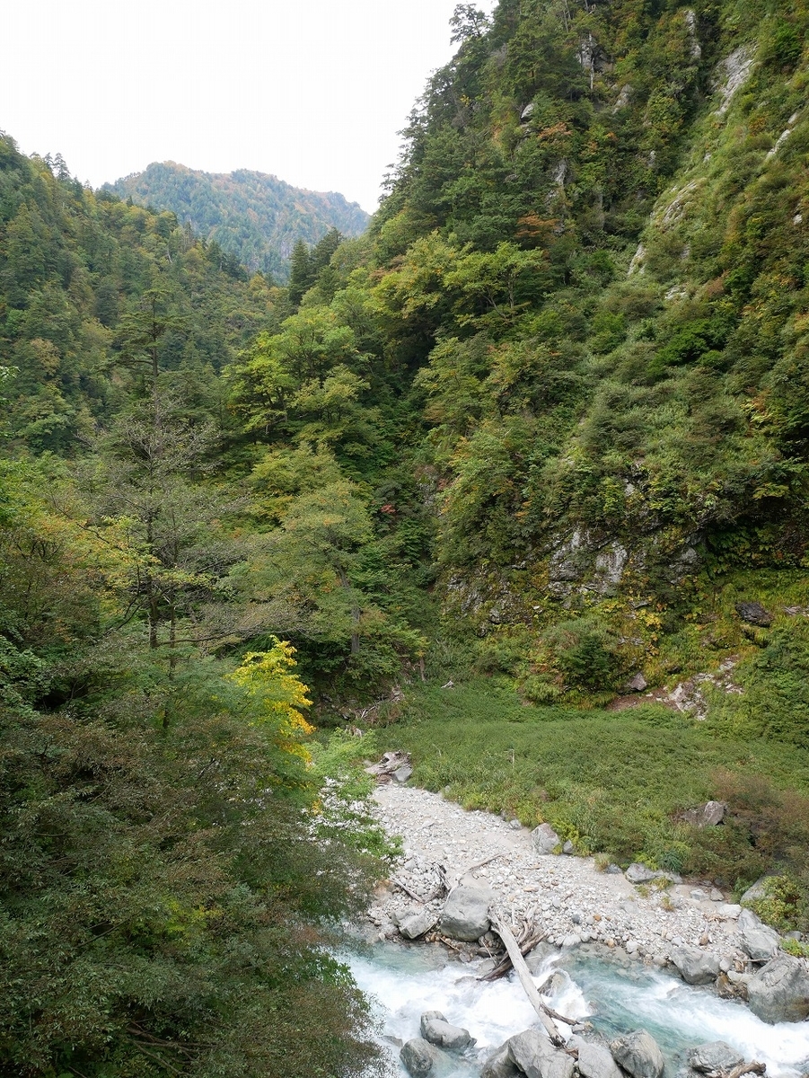 f:id:noririn3103:20191106200100j:plain