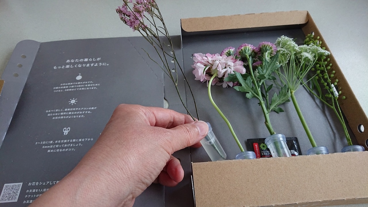 f:id:noririn3103:20200423111711j:plain